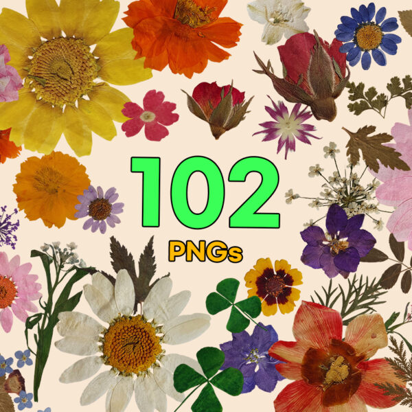 Pressed Memories Vol. 01 — 101 PNG Cutouts Bundle