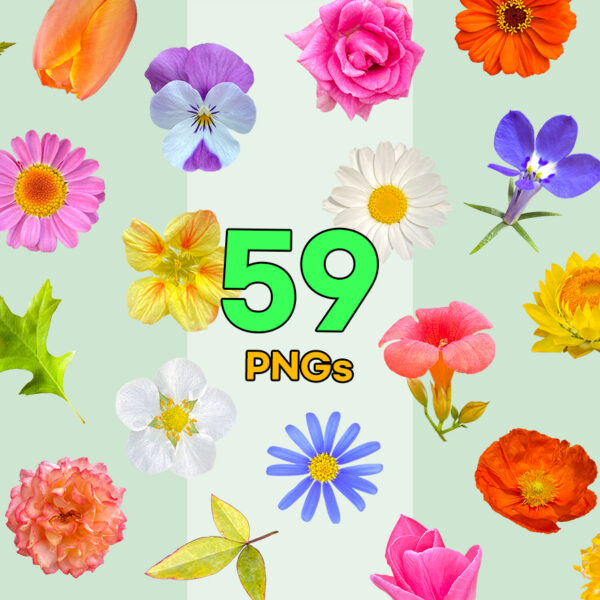 Real Flowers Vol. 01 — 59 PNG Cutouts Bundle