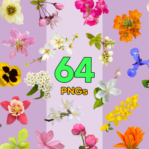 Real Flowers Vol. 02 — 64 PNG Cutouts Bundle