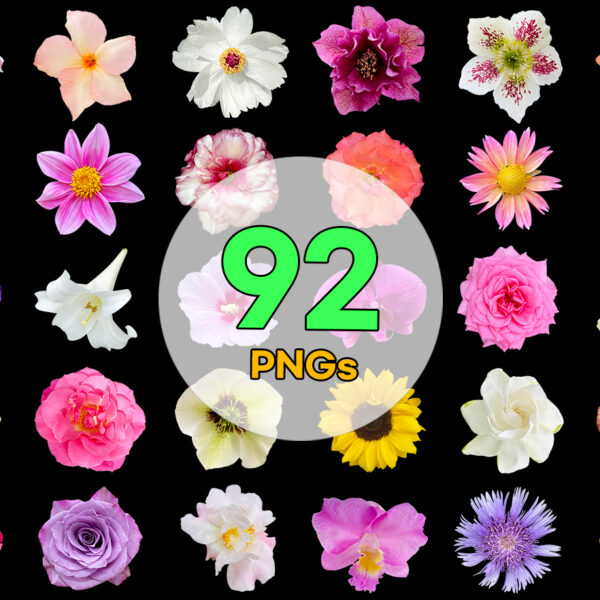 Real Flowers Vol. 03 — 92 PNG Cutouts Bundle