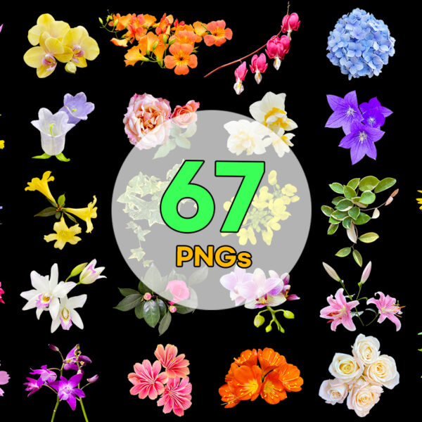 Real Flowers Vol. 05 — 67 PNG Cutouts Bundle