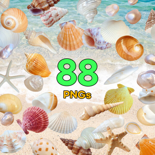 Seashells Vol. 01 — 88 PNG Cutouts Bundle