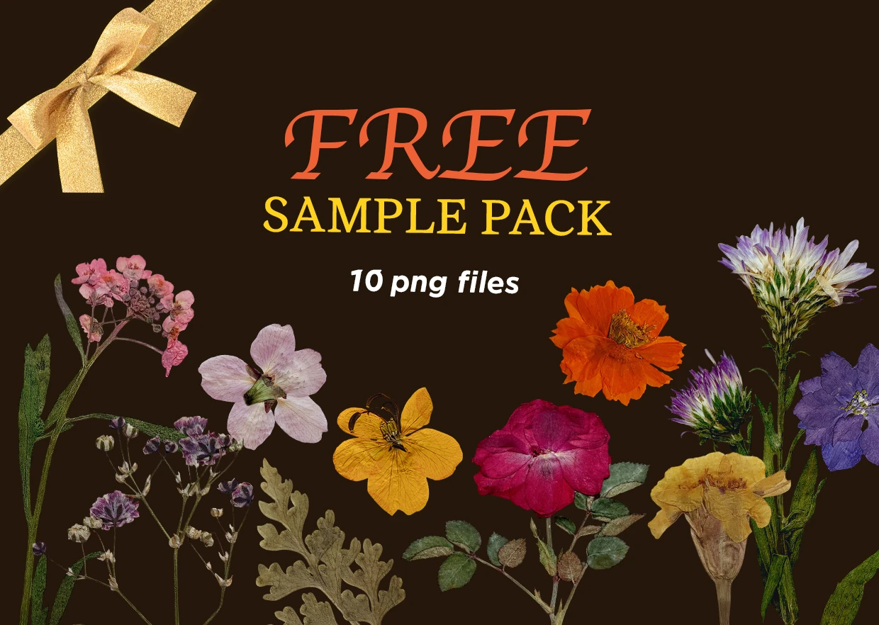 main_10_free_sub PngHeaven Signature Starter Pack — Vol. 1 - Image 1