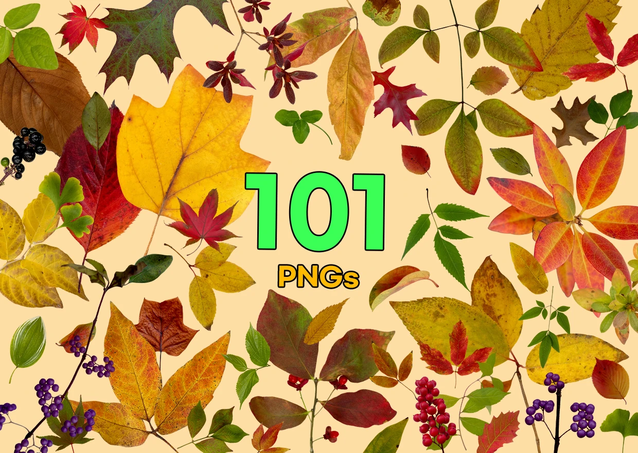 new_leaf_01 Autumn Leaves Vol. 01 — 101 PNG Cutouts Bundle - Image 1