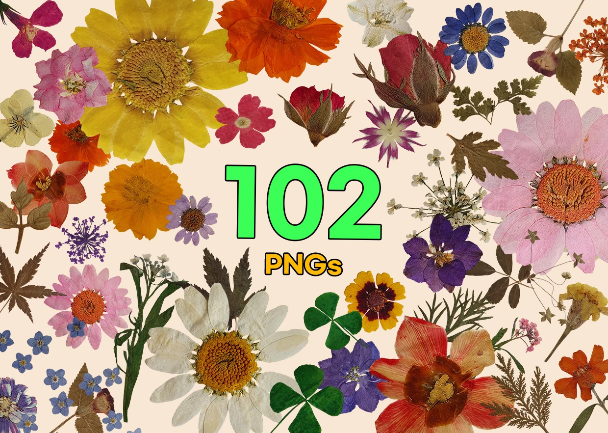 new_pressed_01 Pressed Memories Vol. 01 — 101 PNG Cutouts Bundle - Image 1