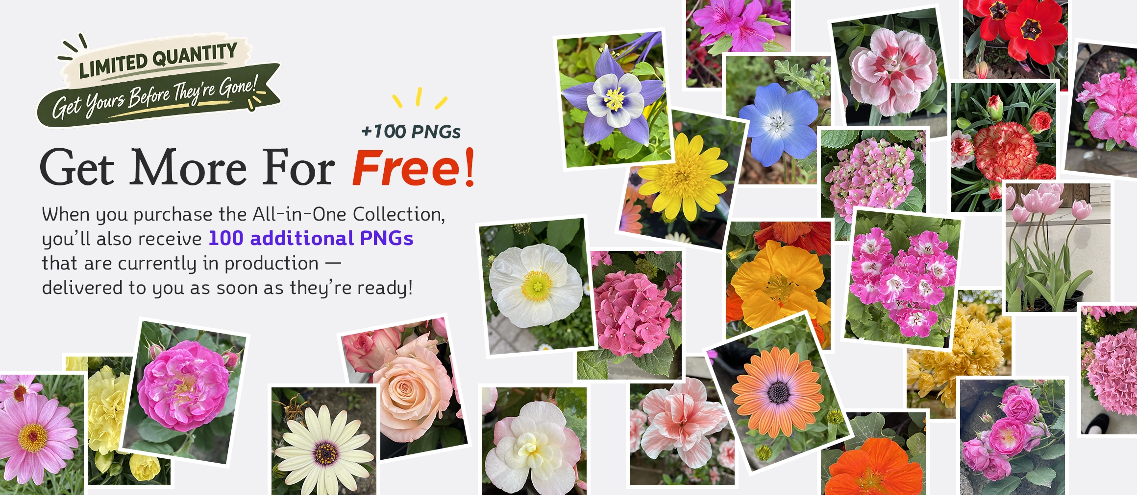 Bonus: 100 extra transparent PNG cutouts with the All-in-One PNG Bundle