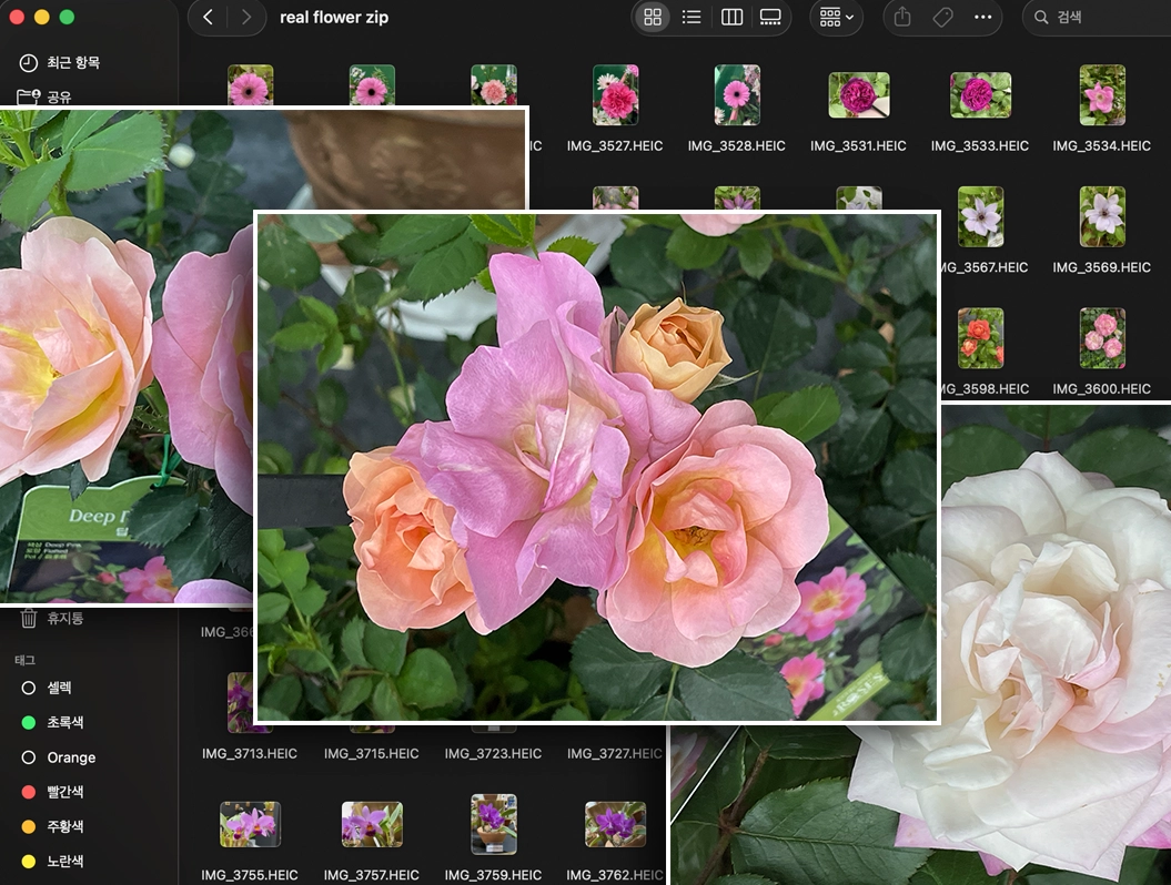 Photographing real flowers for PNG Heaven