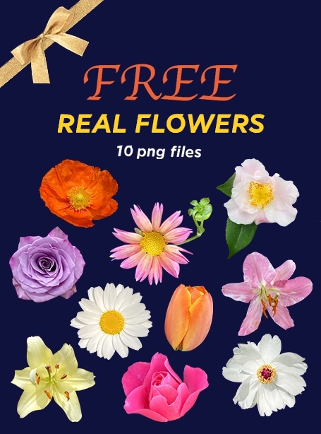 main_10_free2 2