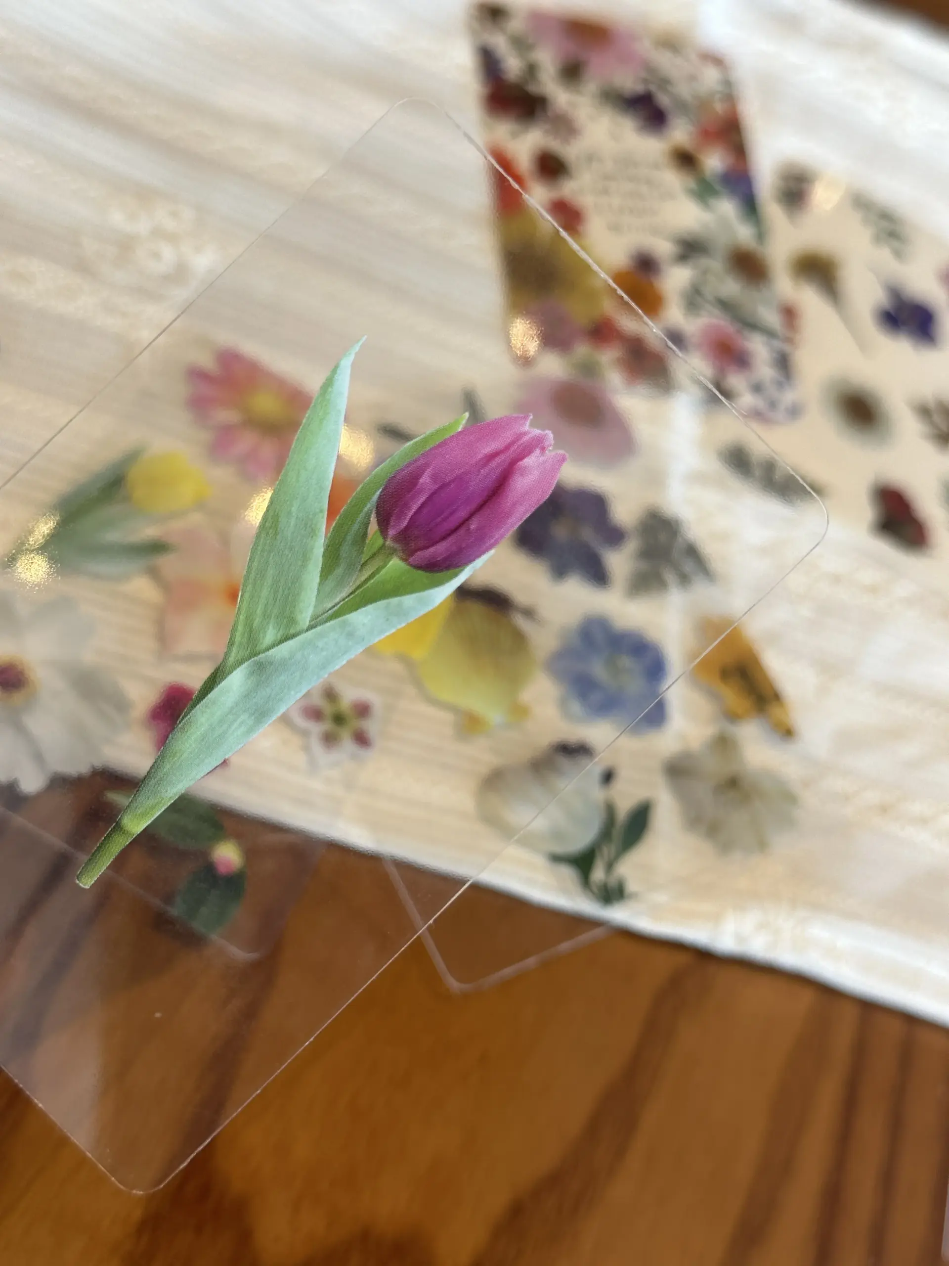 A single pink tulip on a transparent photo card