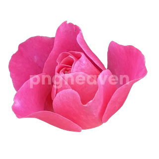 All-in-One PNG Universe Bundle product thumbnail